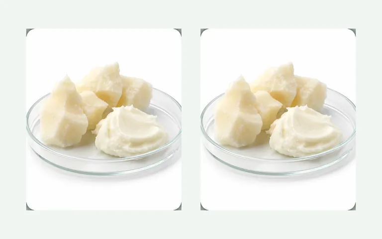 Prepared cosmetic tallow raw material shown in laboratory dishes